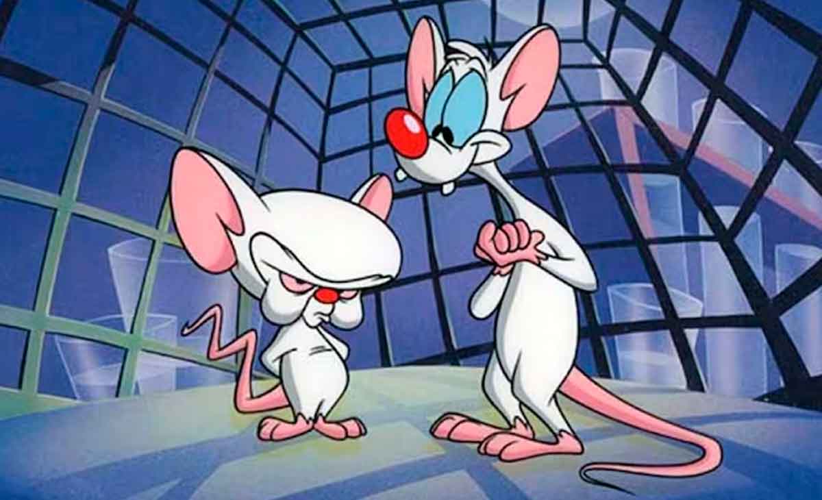 Pinky and the Brain