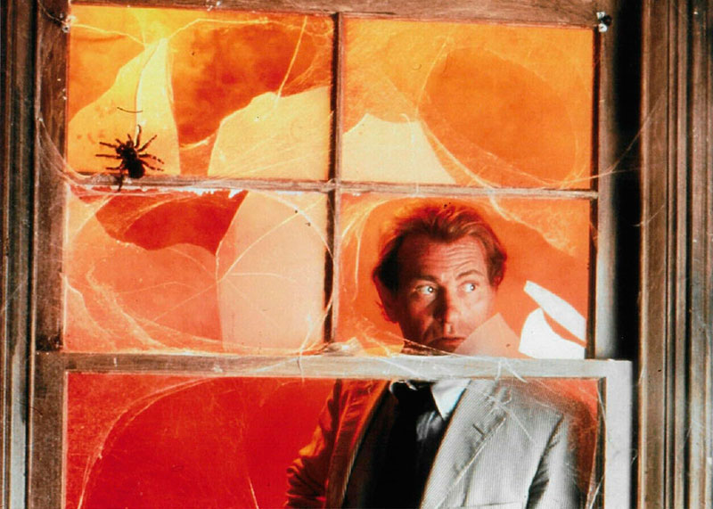 Hombre con traje gris detrás de una ventana cubierta de telarañas.